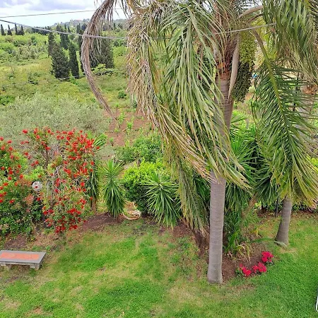 Domenico Zafferana Etnea