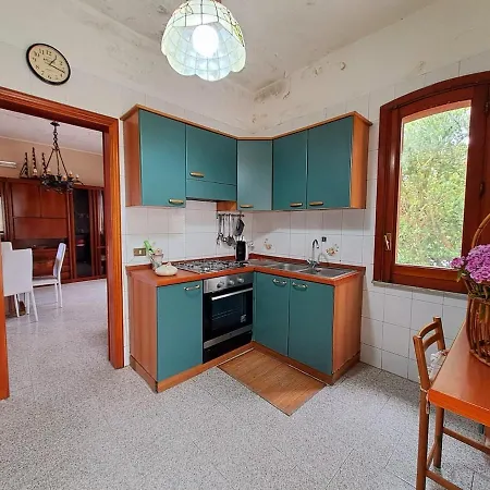 Domenico Zafferana Etnea