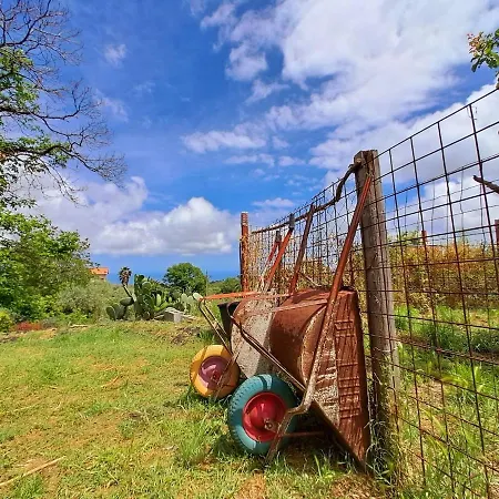 Domenico Сasa de vacaciones *