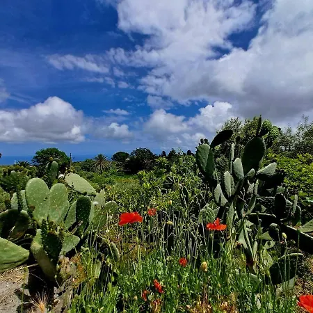 Domenico * Zafferana Etnea