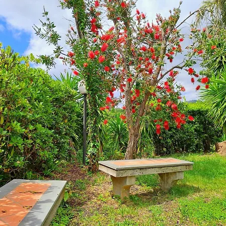 Domenico * Zafferana Etnea